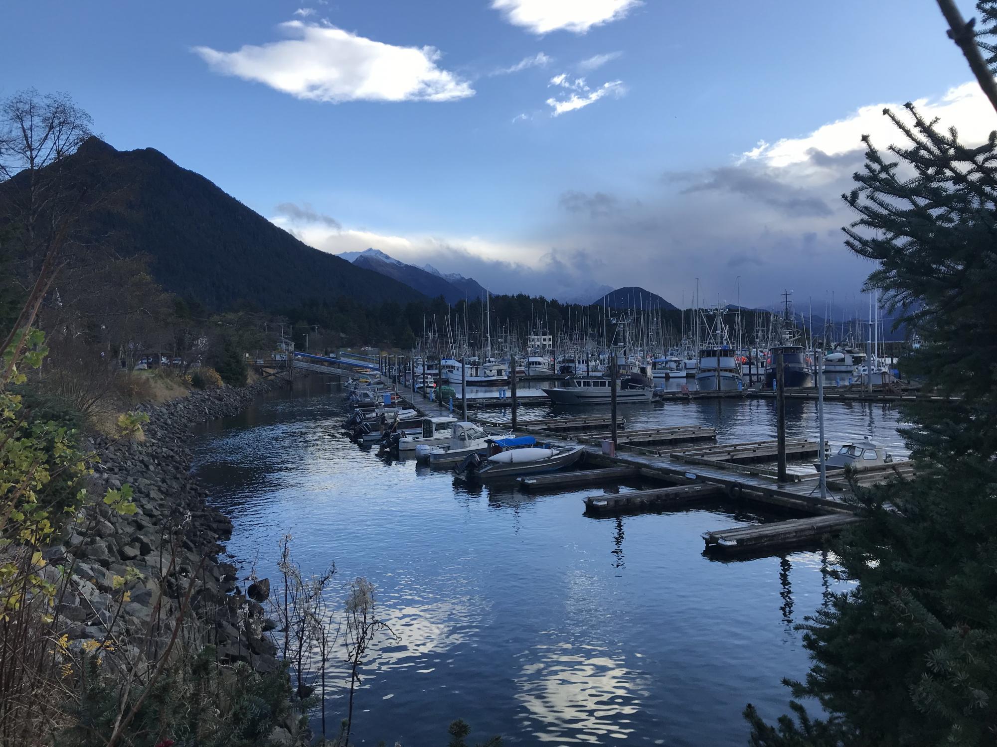 Sitka harbor