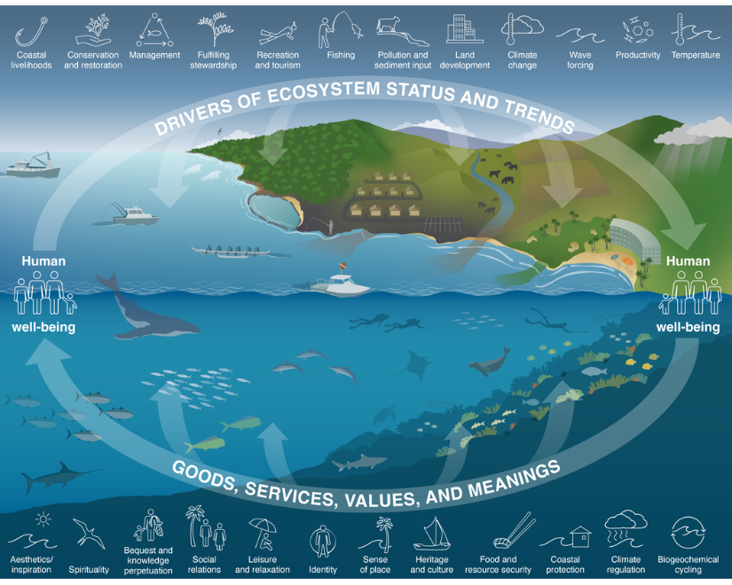 Conceptual diagram of coastal and marine ecosystems in Hawaiʻi with human-land-sea connections visualized as a circle or a cycle.