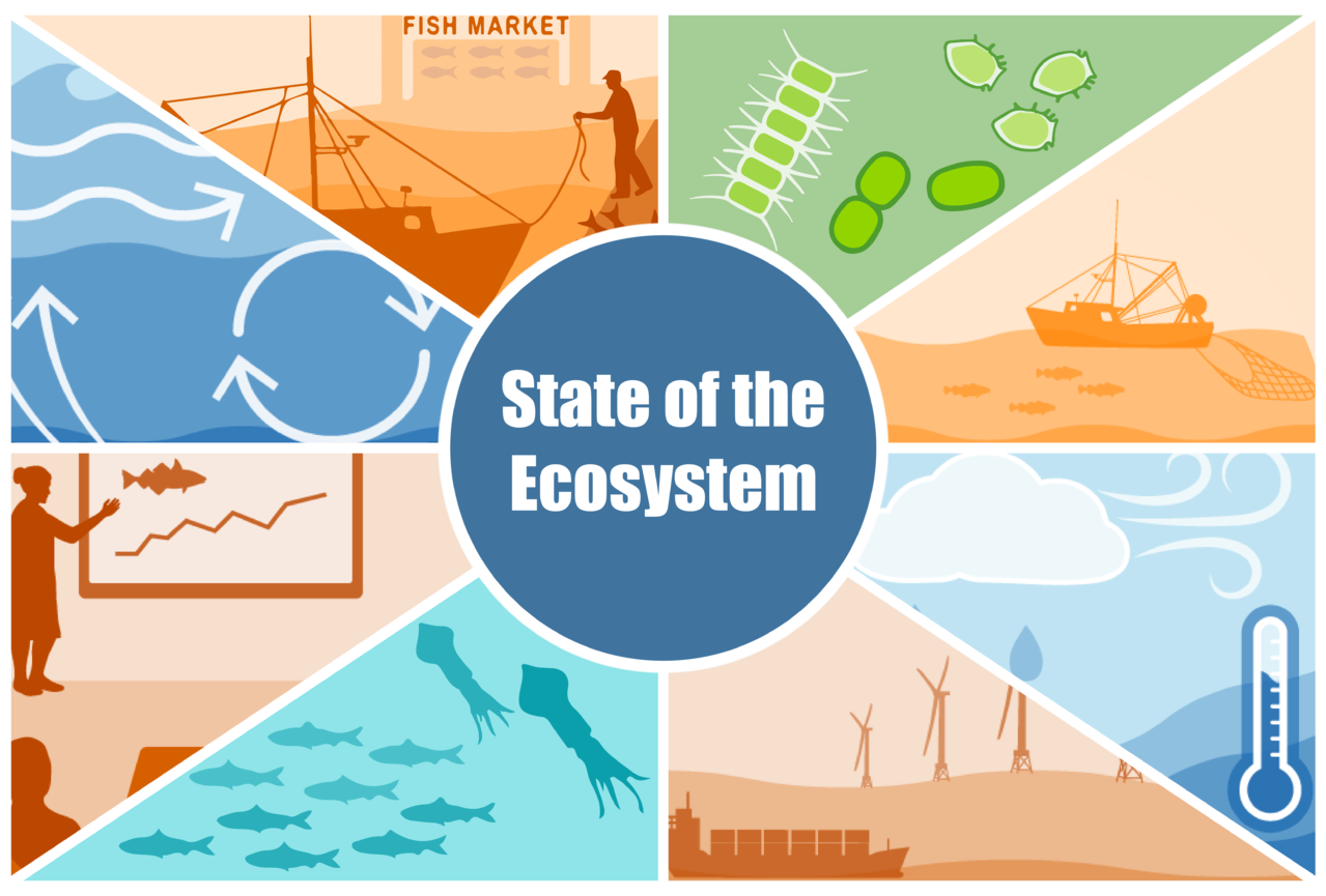 State of the ecosystem symbol