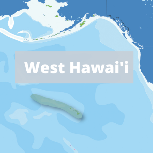 West Hawaii IEA region
