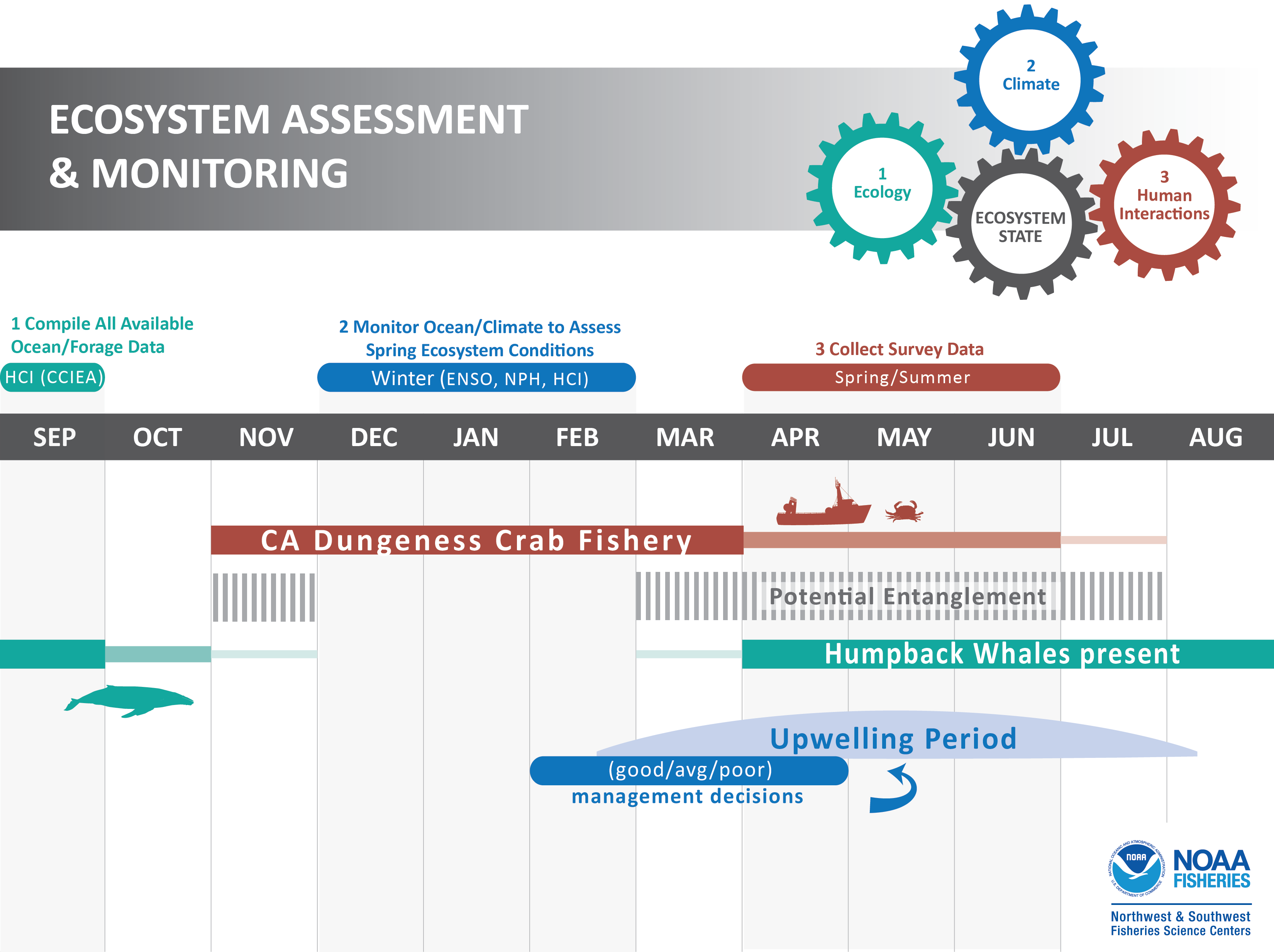 Annual timeline of conditions contributing to whale entanglements