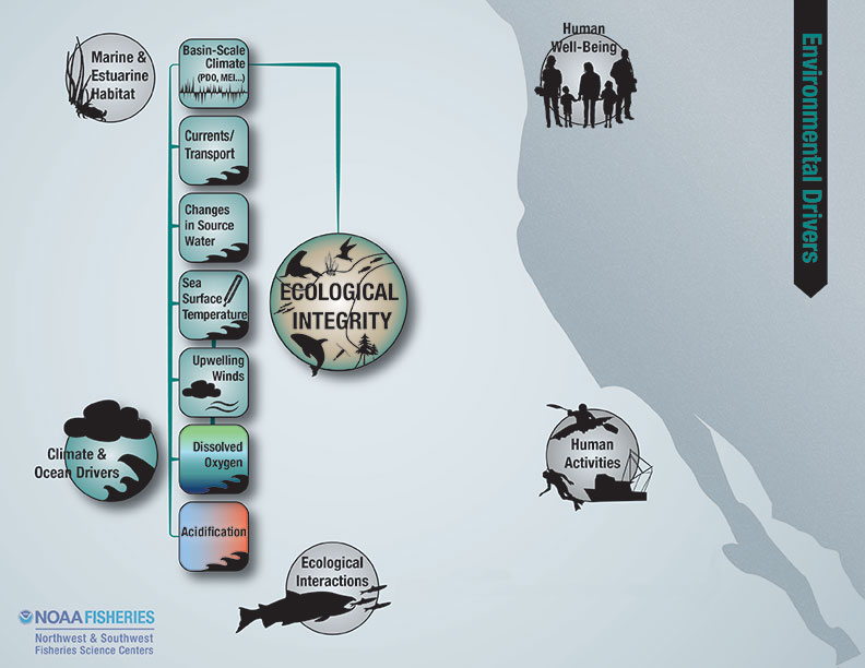 ecological integrity, environmental drivers