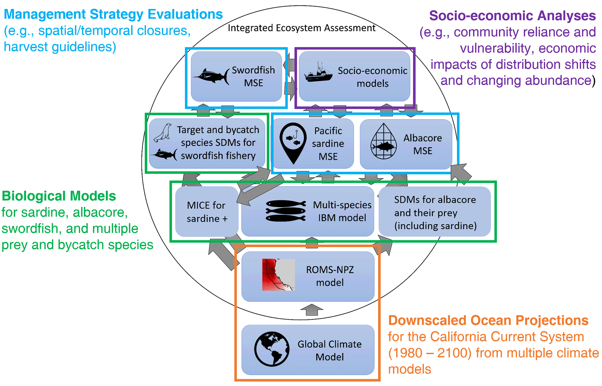 Ecocast flowchart