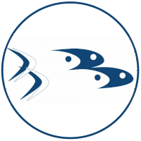 Fishery management council logo