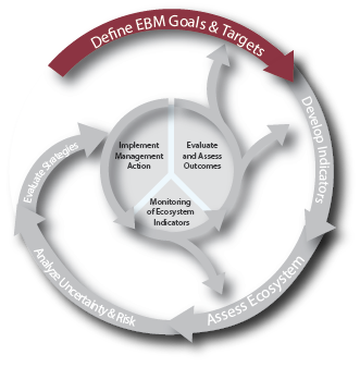 The IEA approach with the first step highlighted