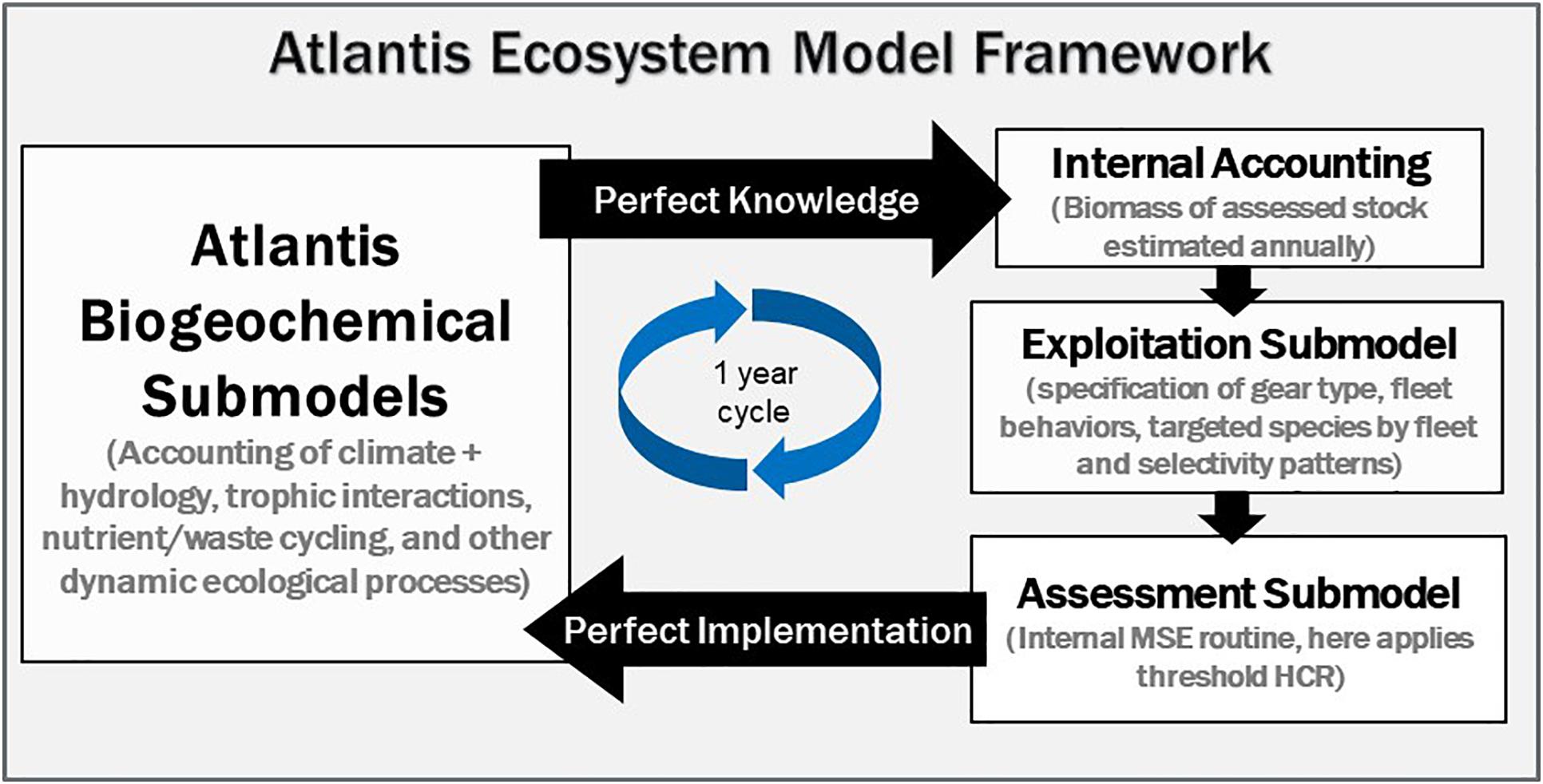 Atlantis submodels utilized in the Gulf of Mexico multispecies harvest control rule testing of Masi et al. (2018). This parallels the general MSE loop illustrated in Figure 1.