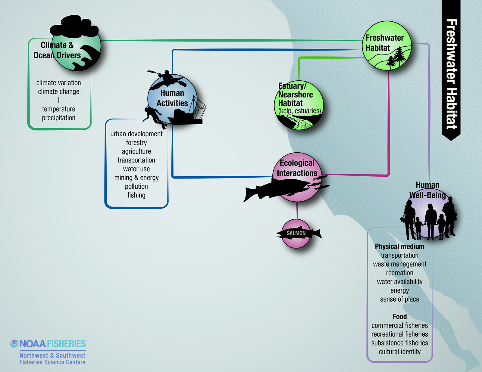 freshwater habitat diagram