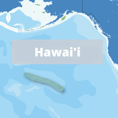 Hawaii IEA region