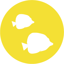 marine protected area icon