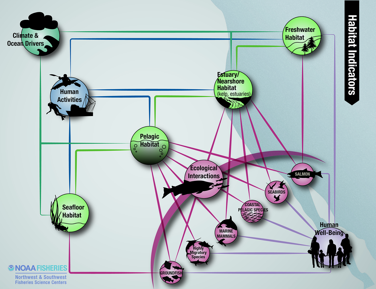 overview habitat diagram