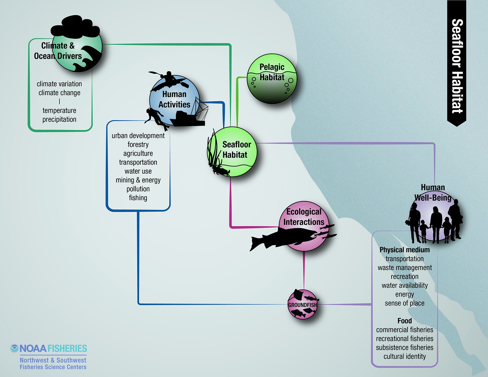 seafloor habitat diagram