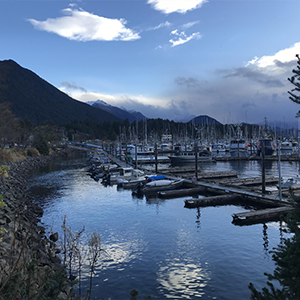 sitka harbor