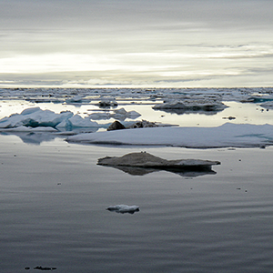 Bering sea alaska