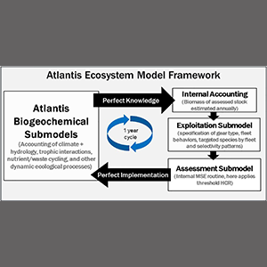  Atlantis submodels utilized in the Gulf of America multispecies harvest control rule testing of Masi et al. (2018). This parallels the general MSE loop illustrated in Figure 1.
