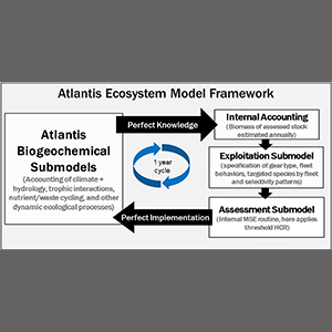  Atlantis submodels utilized in the Gulf of Mexico multispecies harvest control rule testing of Masi et al. (2018). This parallels the general MSE loop illustrated in Figure 1.