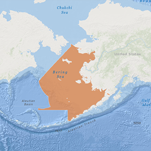 Map of the Bering Sea